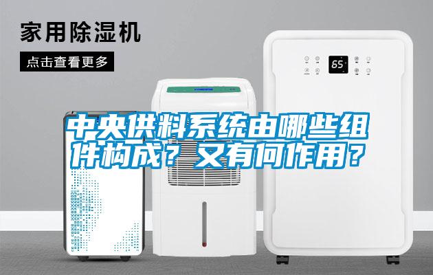 中央供料系統由哪些組件構成？又有何作用？