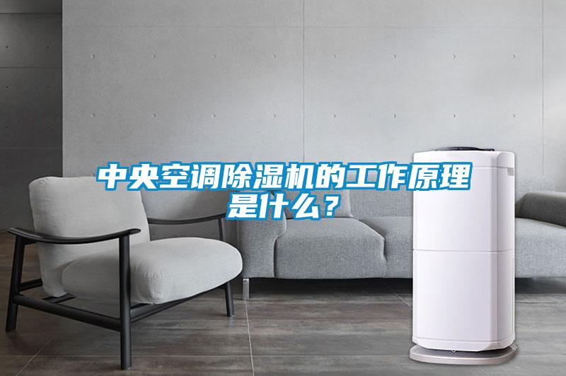 中央空調除濕機的工作原理是什么？
