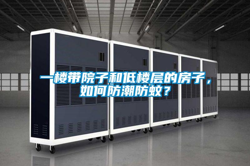 一樓帶院子和低樓層的房子，如何防潮防蚊？
