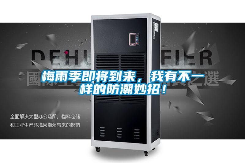 梅雨季即將到來，我有不一樣的防潮妙招！