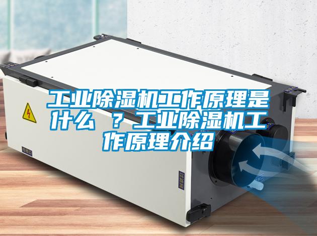 工業除濕機工作原理是什么 ？工業除濕機工作原理介紹
