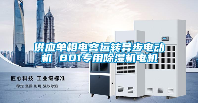 供應(yīng)單相電容運轉(zhuǎn)異步電動機 801專用除濕機電機