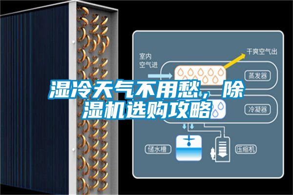 濕冷天氣不用愁，除濕機選購攻略