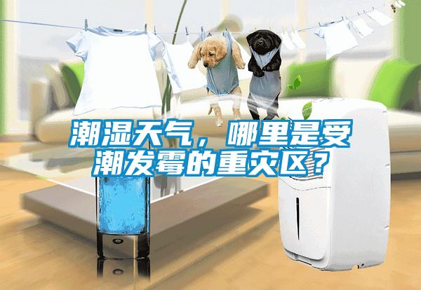 潮濕天氣,哪里是受潮發(fā)霉的重災(zāi)區(qū)?