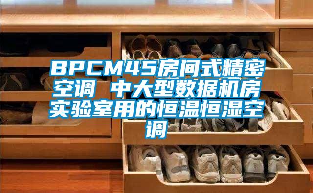 BPCM45房間式精密空調(diào) 中大型數(shù)據(jù)機(jī)房實(shí)驗(yàn)室用的恒溫恒濕空調(diào)
