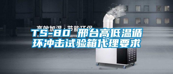 TS-80 邢臺(tái)高低溫循環(huán)沖擊試驗(yàn)箱代理要求