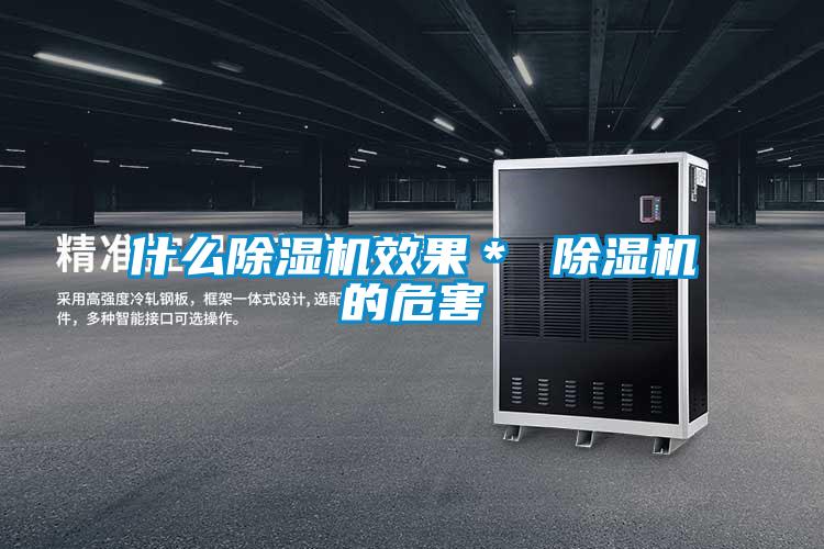 什么除濕機效果＊ 除濕機的危害