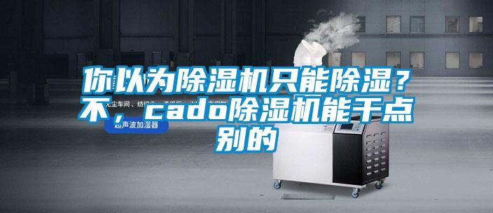 你以為除濕機只能除濕？不，cado除濕機能干點別的