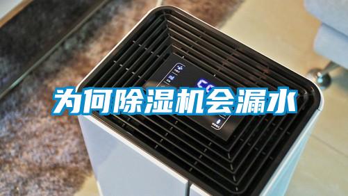 為何除濕機會漏水