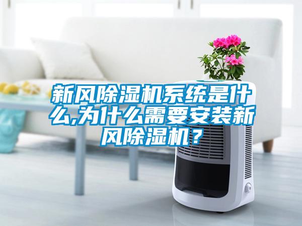 新風除濕機系統是什么,為什么需要安裝新風除濕機？
