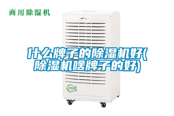 什么牌子的除濕機好(除濕機啥牌子的好)