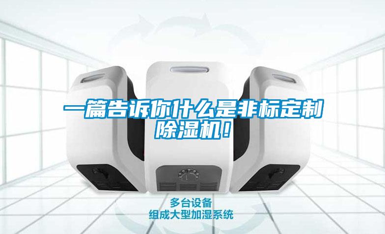 一篇告訴你什么是非標定制除濕機！