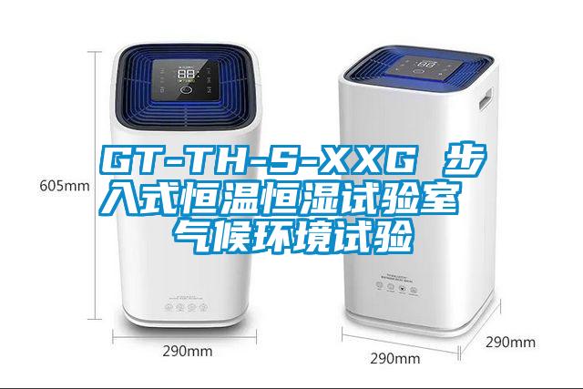 GT-TH-S-XXG 步入式恒溫恒濕試驗室 氣候環境試驗