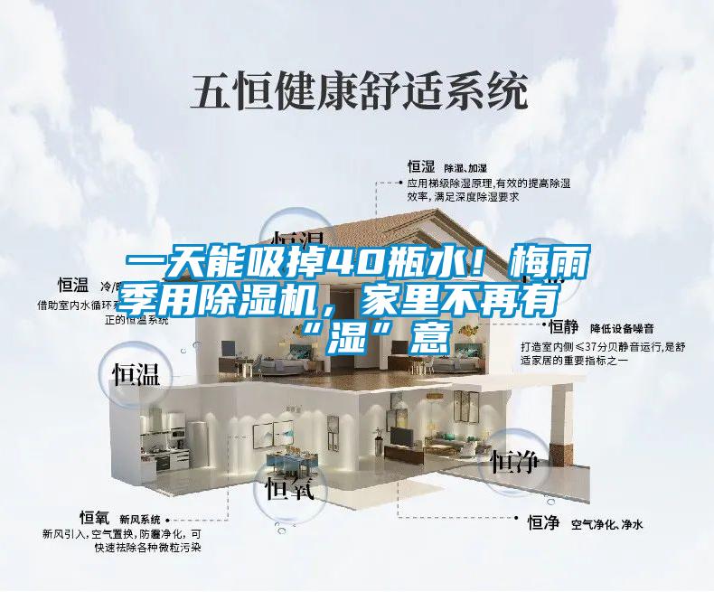 一天能吸掉40瓶水！梅雨季用除濕機，家里不再有“濕”意