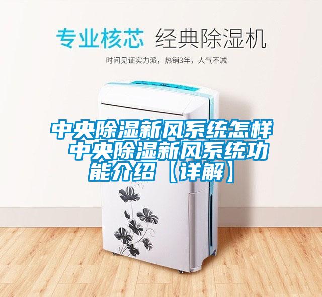 中央除濕新風系統怎樣 中央除濕新風系統功能介紹【詳解】
