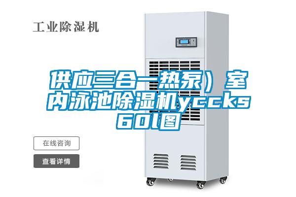 供應(yīng)三合一熱泵）室內(nèi)泳池除濕機yccks60l圖