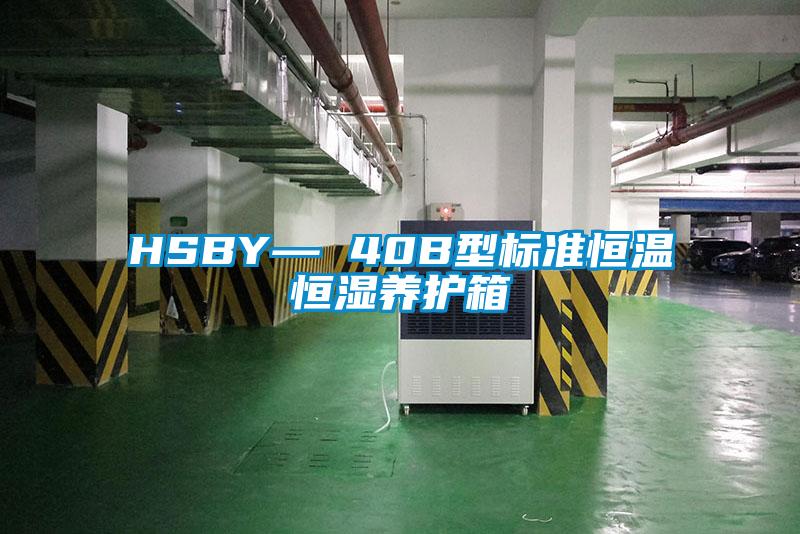 HSBY— 40B型標準恒溫恒濕養護箱