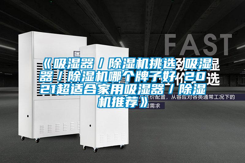 《吸濕器／除濕機挑選 吸濕器／除濕機哪個牌子好 2021超適合家用吸濕器／除濕機推薦》