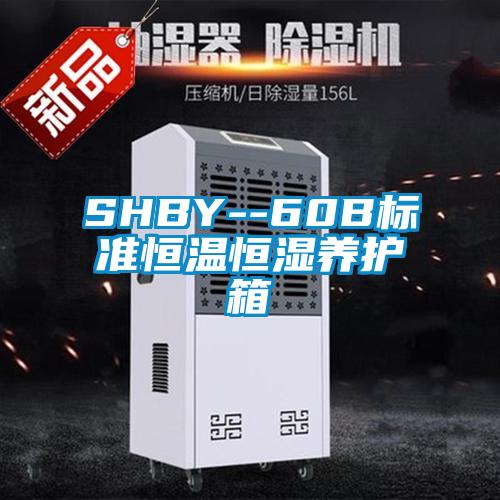 SHBY--60B標準恒溫恒濕養護箱