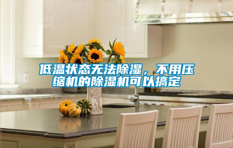 低溫狀態無法除濕，不用壓縮機的除濕機可以搞定