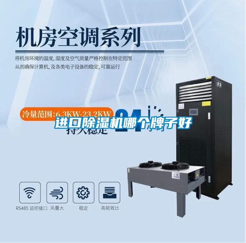 進口除濕機哪個牌子好