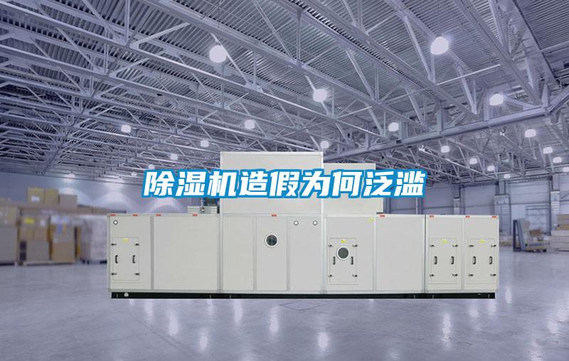 除濕機造假為何泛濫