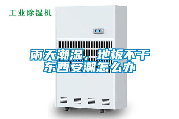 雨天潮濕，地板不干東西受潮怎么辦