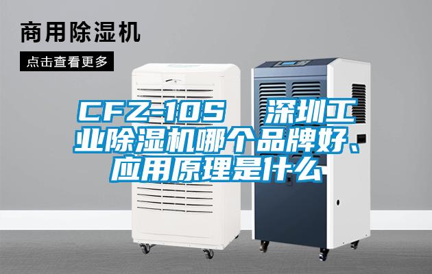CFZ-10S  深圳工業(yè)除濕機(jī)哪個(gè)品牌好、應(yīng)用原理是什么