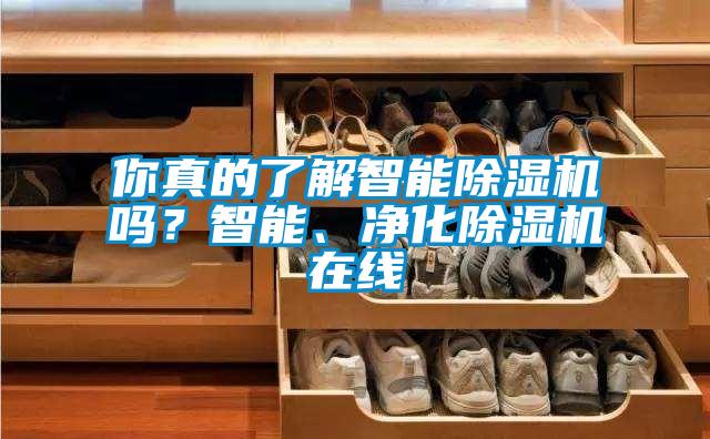 你真的了解智能除濕機嗎？智能、凈化除濕機在線