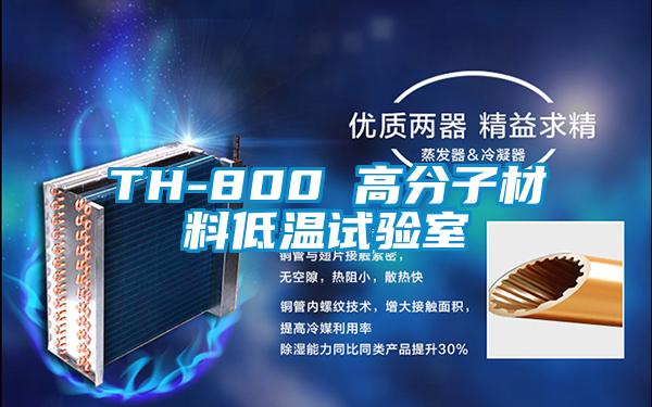 TH-800 高分子材料低溫試驗室