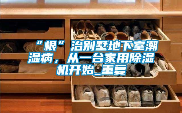 “根”治別墅地下室潮濕病，從一臺家用除濕機開始_重復