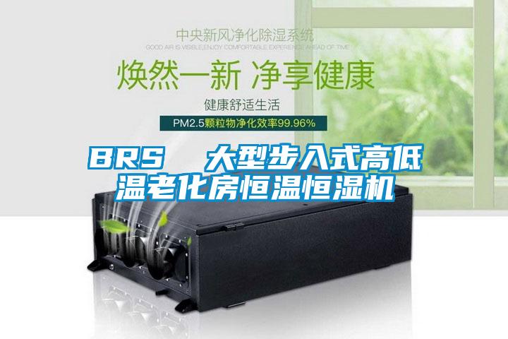 BRS  大型步入式高低溫老化房恒溫恒濕機(jī)