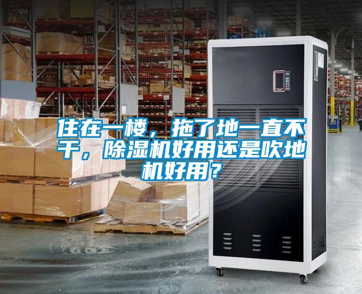 住在一樓，拖了地一直不干，除濕機好用還是吹地機好用？