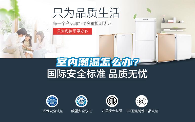 室內潮濕怎么辦？