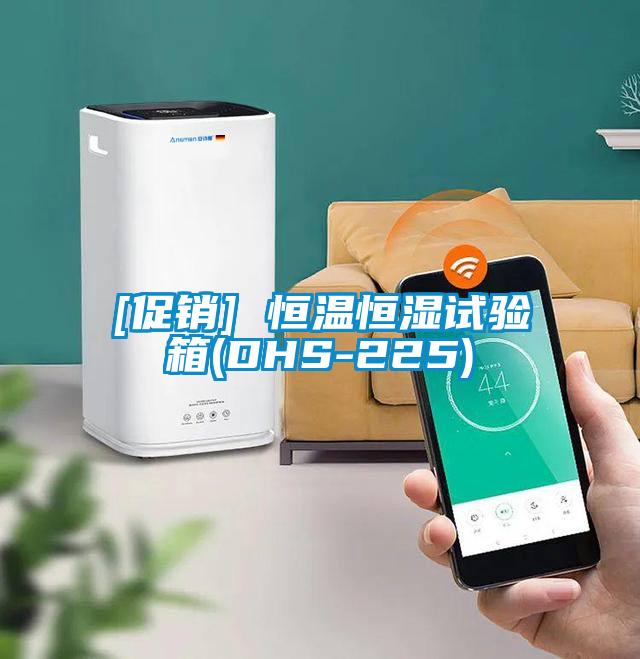 [促銷] 恒溫恒濕試驗箱(DHS-225)