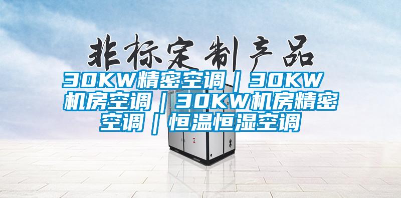 30KW精密空調｜30KW 機房空調｜30KW機房精密空調｜恒溫恒濕空調