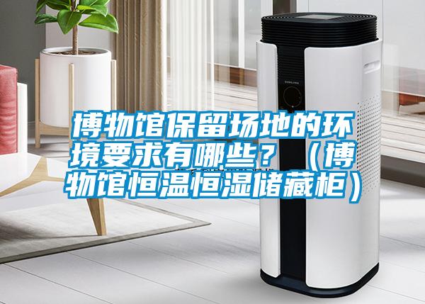 博物館保留場地的環境要求有哪些？（博物館恒溫恒濕儲藏柜）