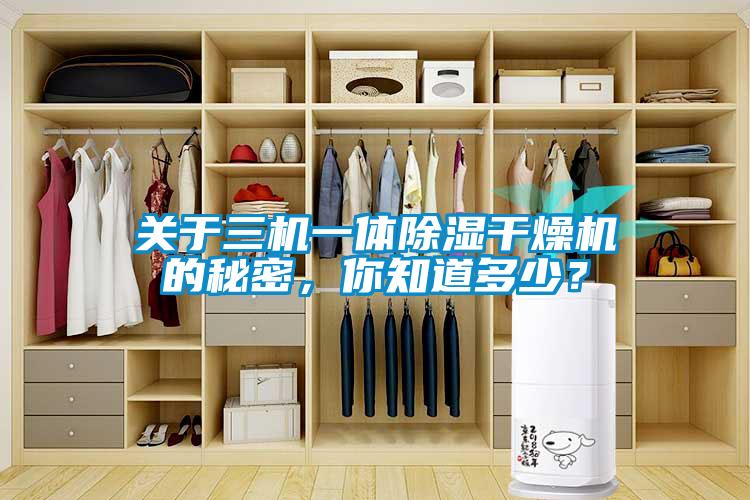 關于三機一體除濕干燥機的秘密，你知道多少？