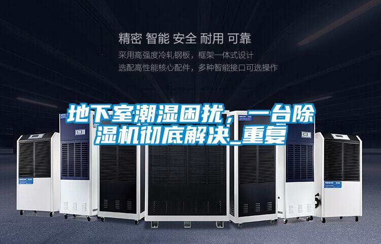 地下室潮濕困擾，一臺除濕機徹底解決_重復