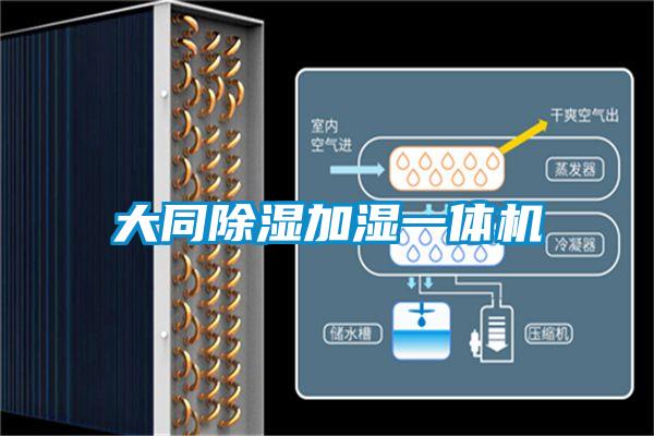 大同除濕加濕一體機
