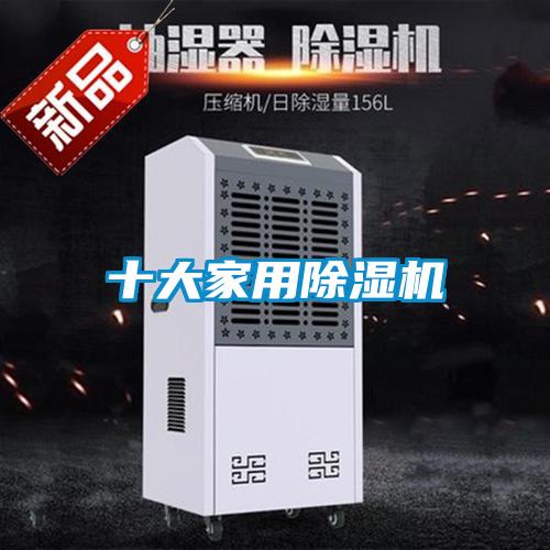 十大家用除濕機