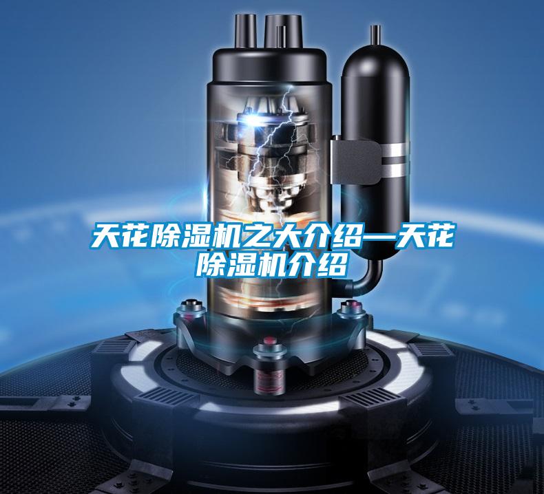 天花除濕機(jī)之大介紹—天花除濕機(jī)介紹