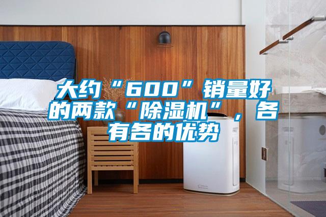 大約“600”銷量好的兩款“除濕機”，各有各的優勢