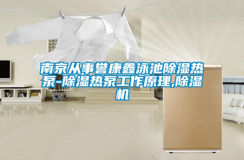 南京從事譽康鑫泳池除濕熱泵-除濕熱泵工作原理,除濕機