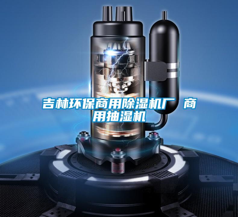 吉林環保商用除濕機廠 商用抽濕機