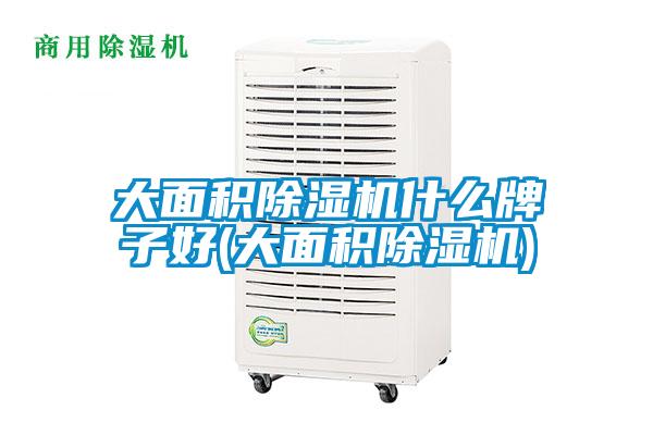 大面積除濕機什么牌子好(大面積除濕機)