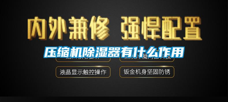 壓縮機除濕器有什么作用