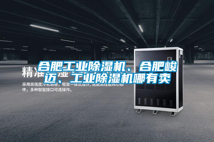 合肥工業除濕機、合肥峻邁、工業除濕機哪有賣