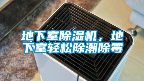 地下室除濕機，地下室輕松除潮除霉