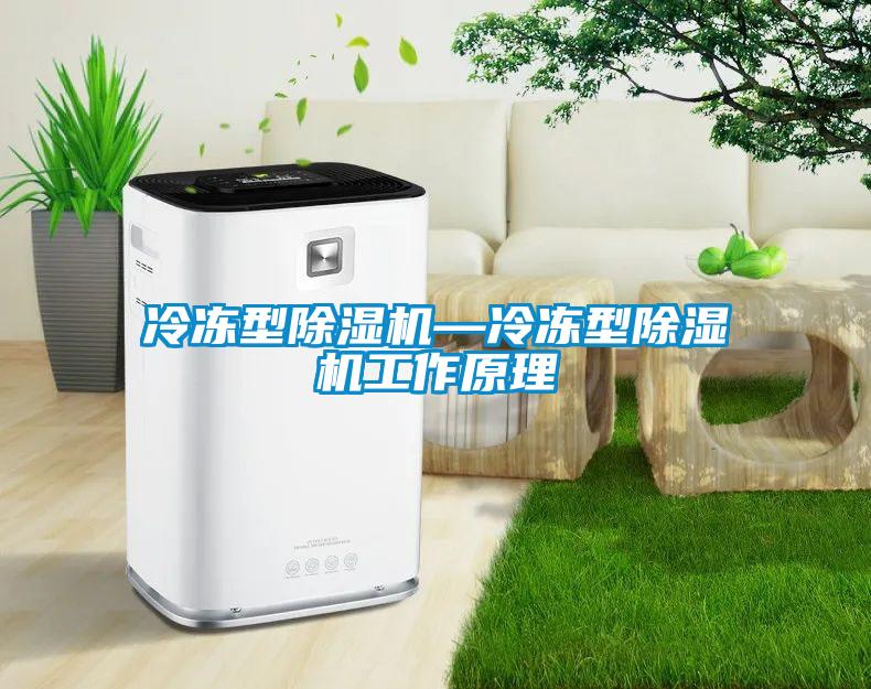 冷凍型除濕機—冷凍型除濕機工作原理